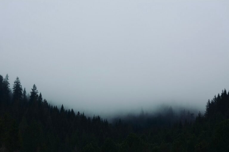 Fog hanging between dark forest trees evokes the folk horror atmosphere of Werwulf