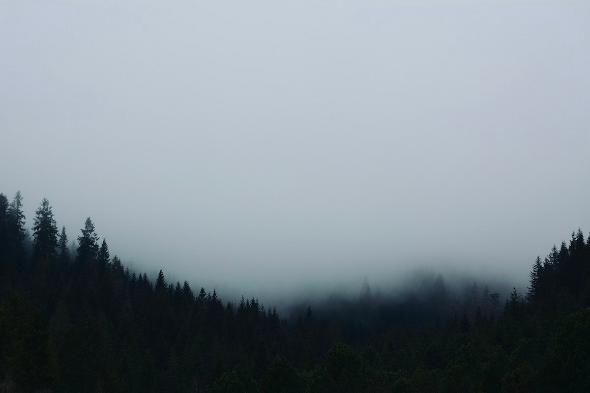 Werwulf (2026): What to Expect from Robert Eggers’ Next Horror Film